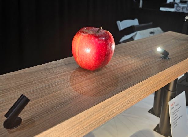 LA IES show APPLE